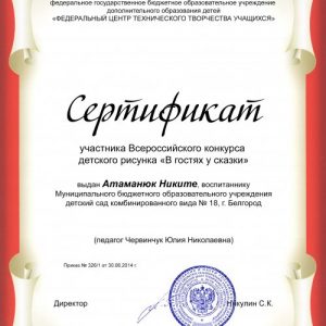 1-263-2014_Sertifikat( m)_Atamanyuk Nikita_500x711