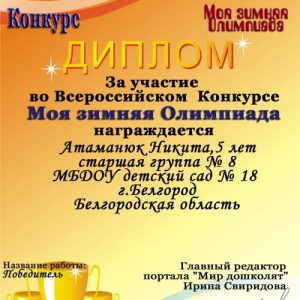 Atamanyuk Nikita_500x708