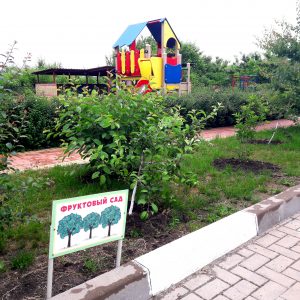 плодово-ягодный сад